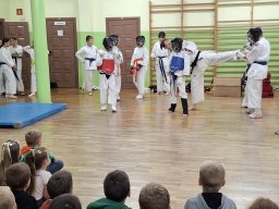 Pokaz karate w naszej szkole